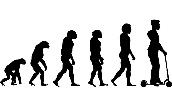 theory-evolution-of-human-from-monkey-to-man